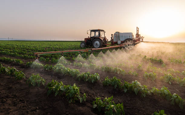 Best Pest Prevention Services  in New Holland, PA