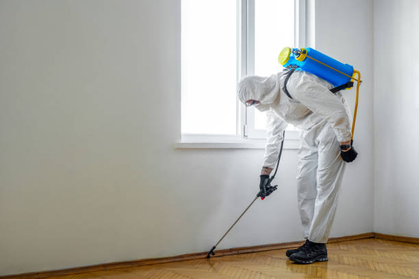 Best Best Pest Control Companies  in New Holland, PA