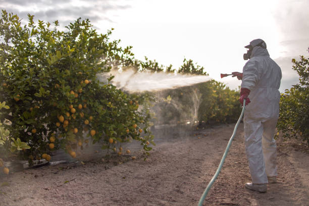 Best Flea Control Services  in New Holland, PA