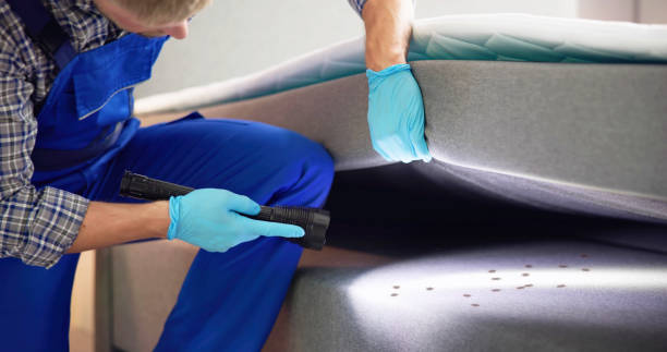 Best Best Pest Control Companies  in New Holland, PA
