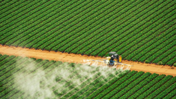 Best Mosquito Control Services  in New Holland, PA